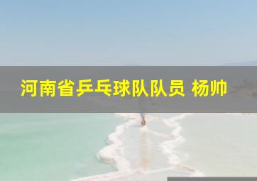 河南省乒乓球队队员 杨帅